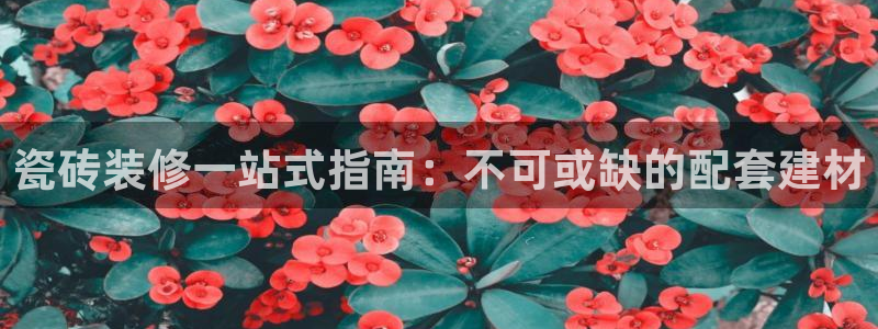 杏鑫平台代理