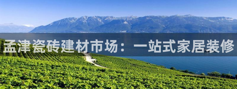 杏鑫官网注册账号是什么