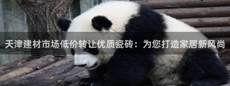 杏鑫手机客户端怎么下载