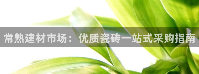杏鑫官网最新信息新闻报道
