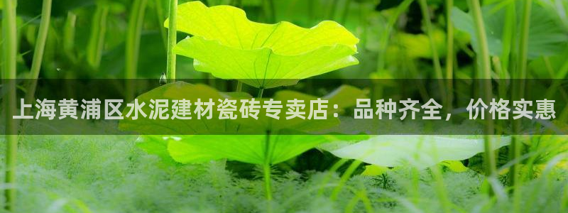 杏鑫平台注册地址是哪里