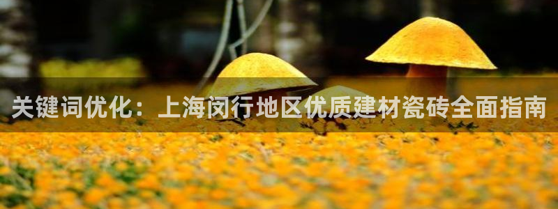 杏鑫娱乐是合法的吗是真的吗
