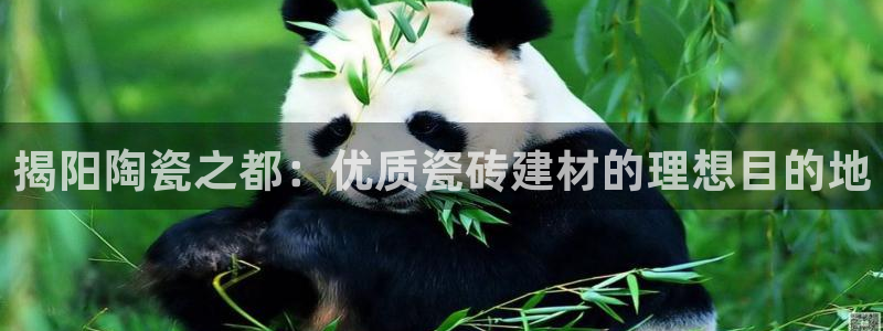 杏鑫娱乐开发团队