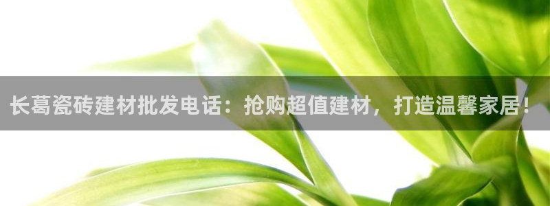 杏鑫平台念7O777