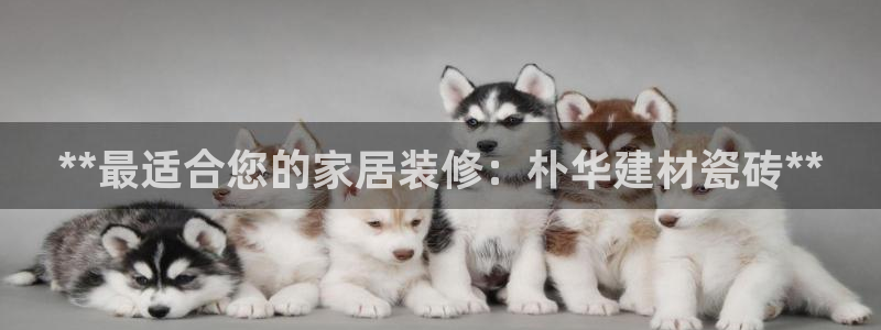 杏鑫平台代理怎么样啊