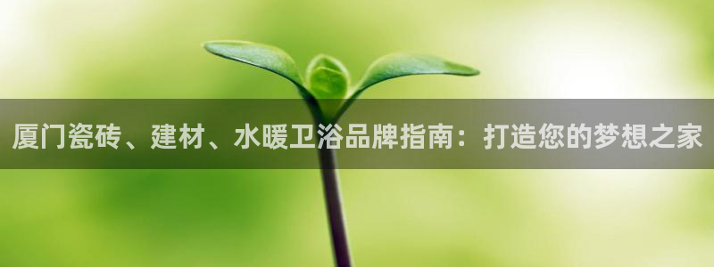 杏鑫手机客户端