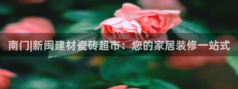 杏鑫平台是黑平台吗