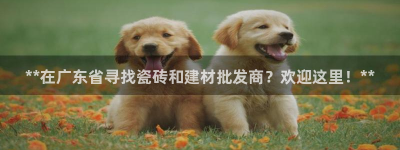 杏鑫平台招商怎么样可靠吗
