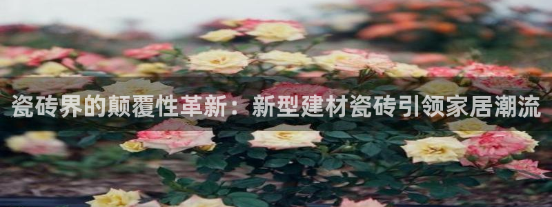 杏鑫平台登录