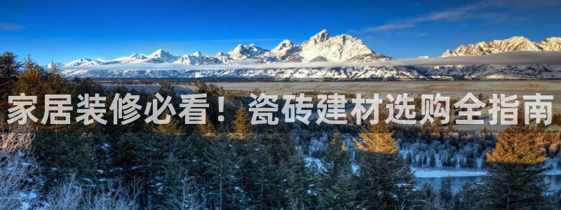 杏鑫平台怎么样