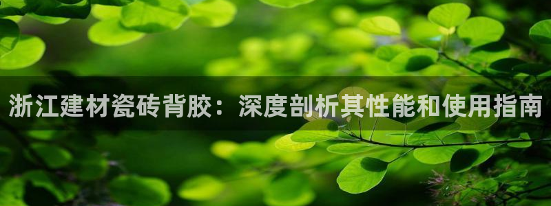 杏鑫官网最新信息