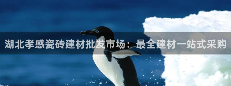 杏鑫官网注册账号是什么样的