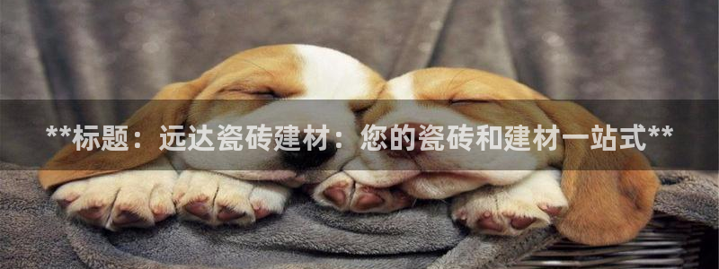 杏鑫平台线路测速