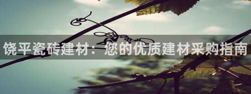 杏鑫平台登录