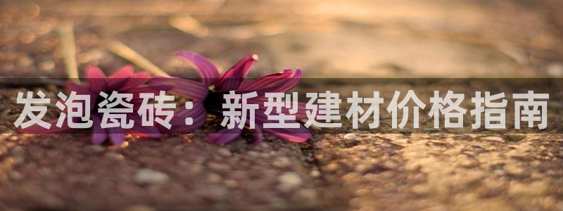 杏鑫平台代理注册多少钱一年