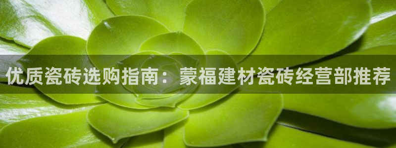 杏鑫官网注册账号怎么注册不了