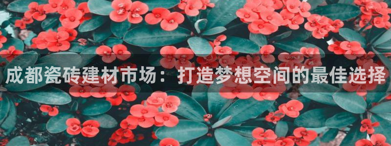 杏鑫平台招商电话