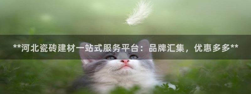 杏鑫平台平台娱乐怎么样