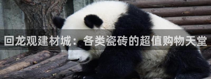 杏鑫官网注册账号密码