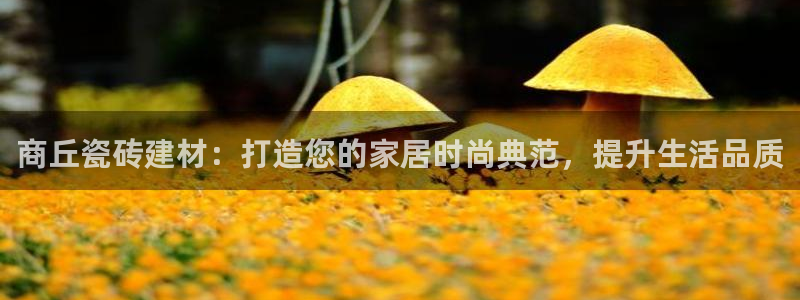 杏鑫官网最新信息新闻