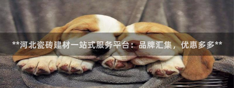 杏鑫娱乐官网登录不了