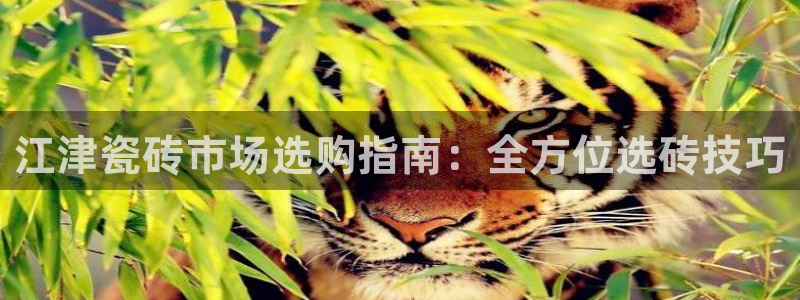 杏鑫平台是黑平台吗知乎
