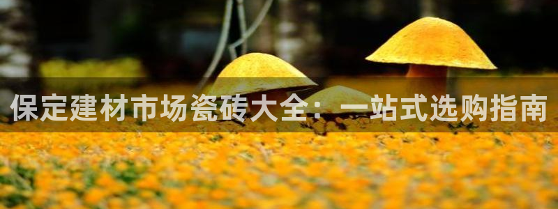 杏鑫平台代理注册多少钱一个