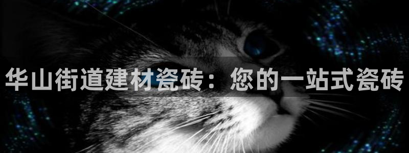 杏鑫平台注册网址