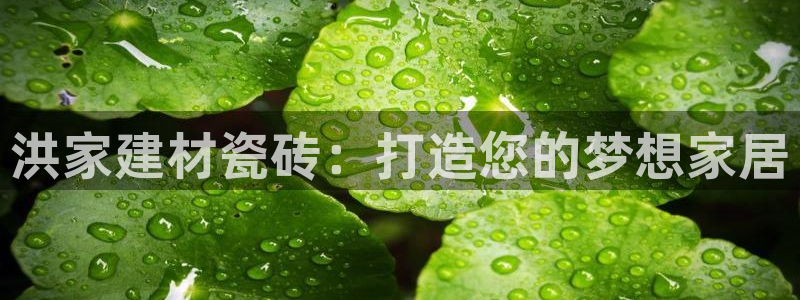 杏鑫娱乐-官方网站