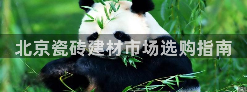 杏鑫官网注册账号密码是什么
