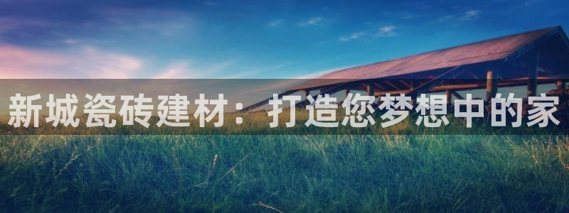 杏鑫3主管