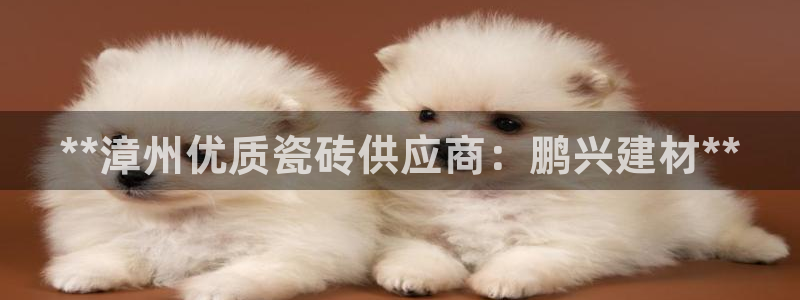 杏鑫官网注册账号密码是多少