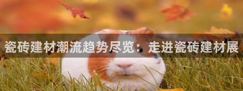 杏鑫注册登陆