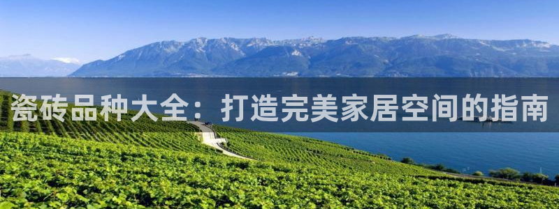 杏鑫平台平台娱乐