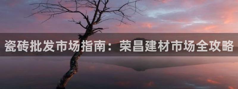 杏鑫平台注册登录