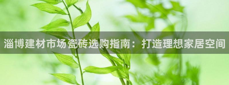 杏鑫手机客户端怎么下载