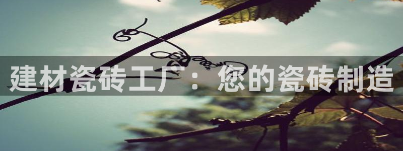 杏鑫平台怎么样黑钱吗安全吗可靠吗