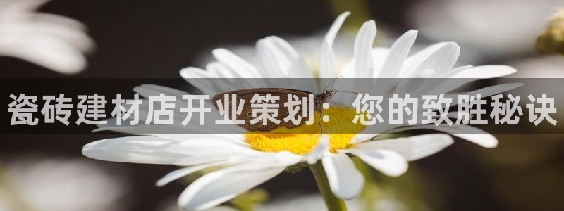 杏鑫平台注册登录