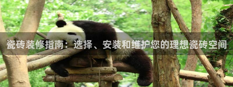 杏鑫平台怎么样知乎