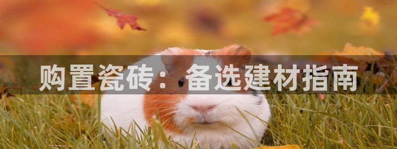 杏鑫平台怎么样黑钱吗知乎推荐