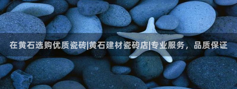 杏鑫代理注册资金多少