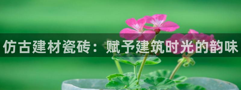 杏鑫平台线路测速
