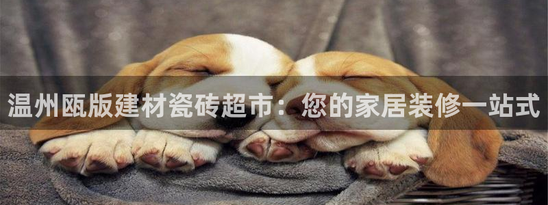 杏鑫官方平台怎么样