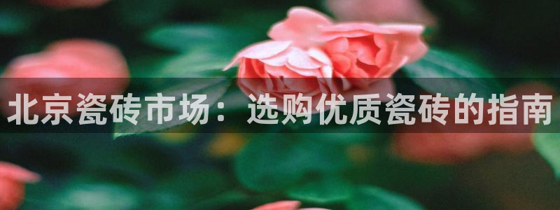 杏鑫平台号7O777