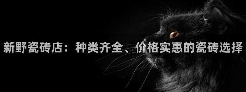 杏鑫3主管
