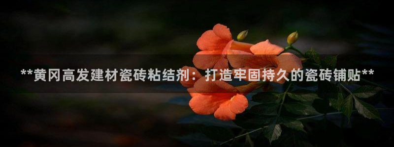 杏鑫平台是黑平台吗知乎