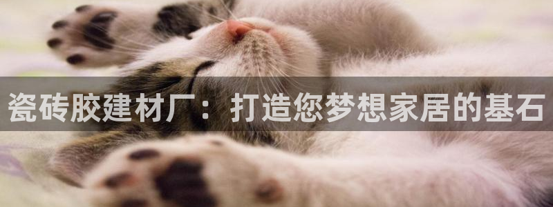 杏鑫注册平台官方网站