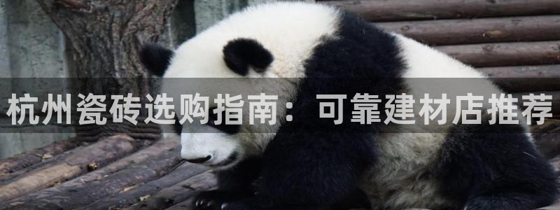 杏鑫娱乐是合法的吗?