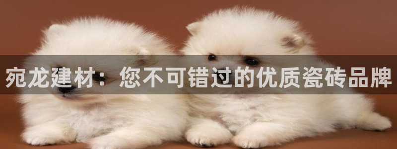 杏鑫平台代理注册登录不了怎么办呀视频