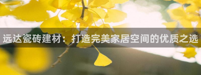 杏鑫平台注册网址查询